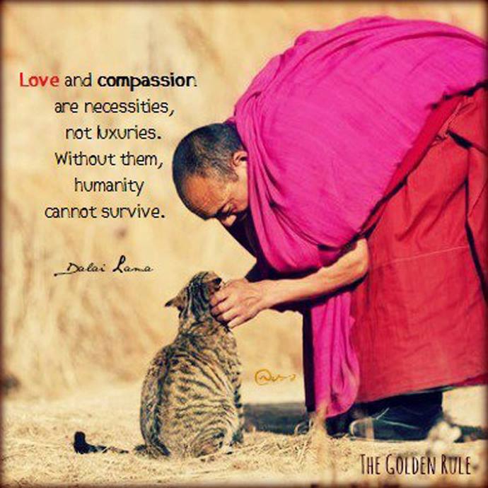 love-and-compassion-kamonchanok-parnjai